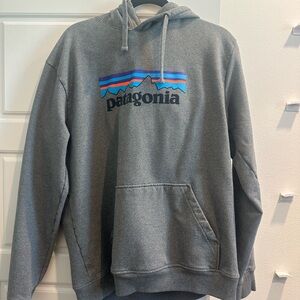 Patagonia Gray Hoodie for Men
